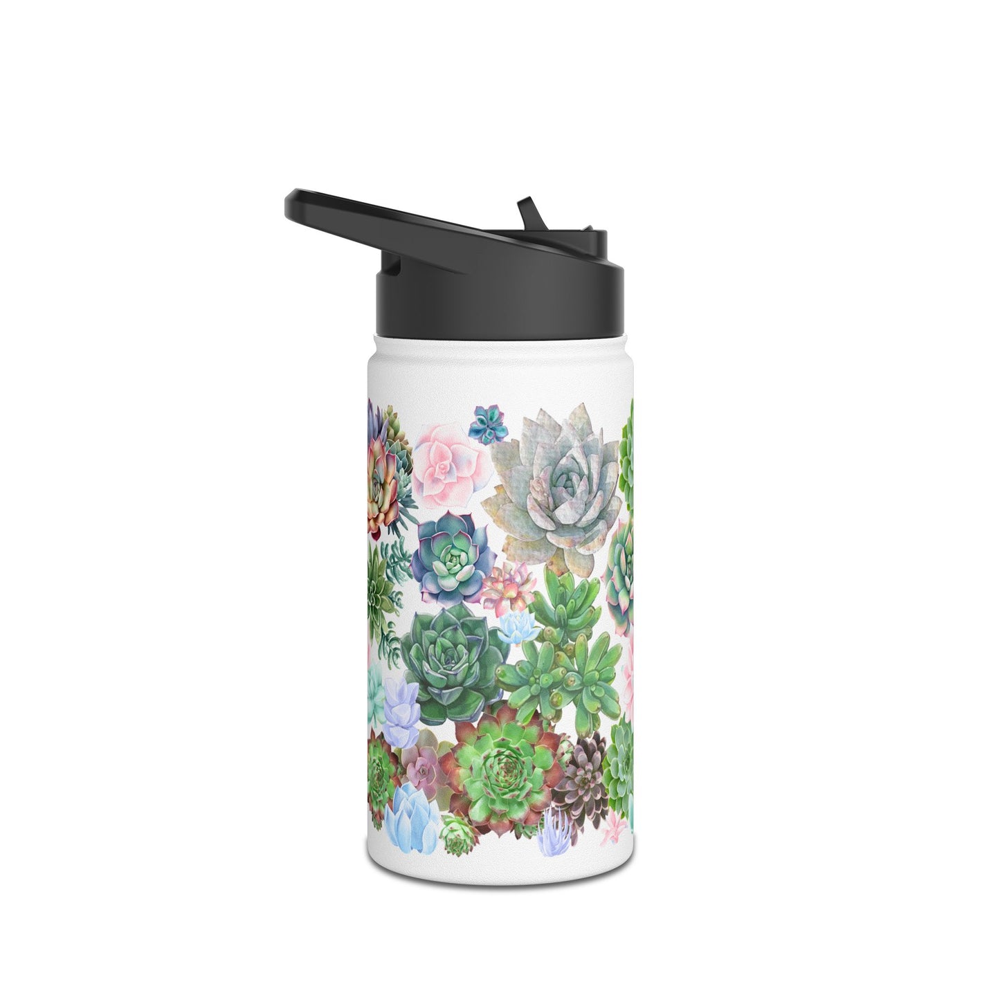 Succulents | Stainless Steel Water Bottle, Standard Lid