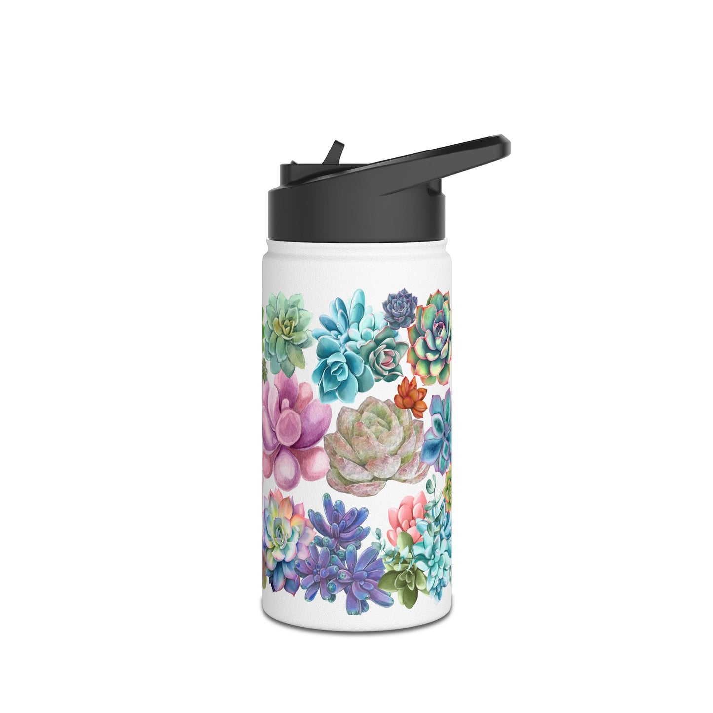 Succulents | Stainless Steel Water Bottle, Standard Lid