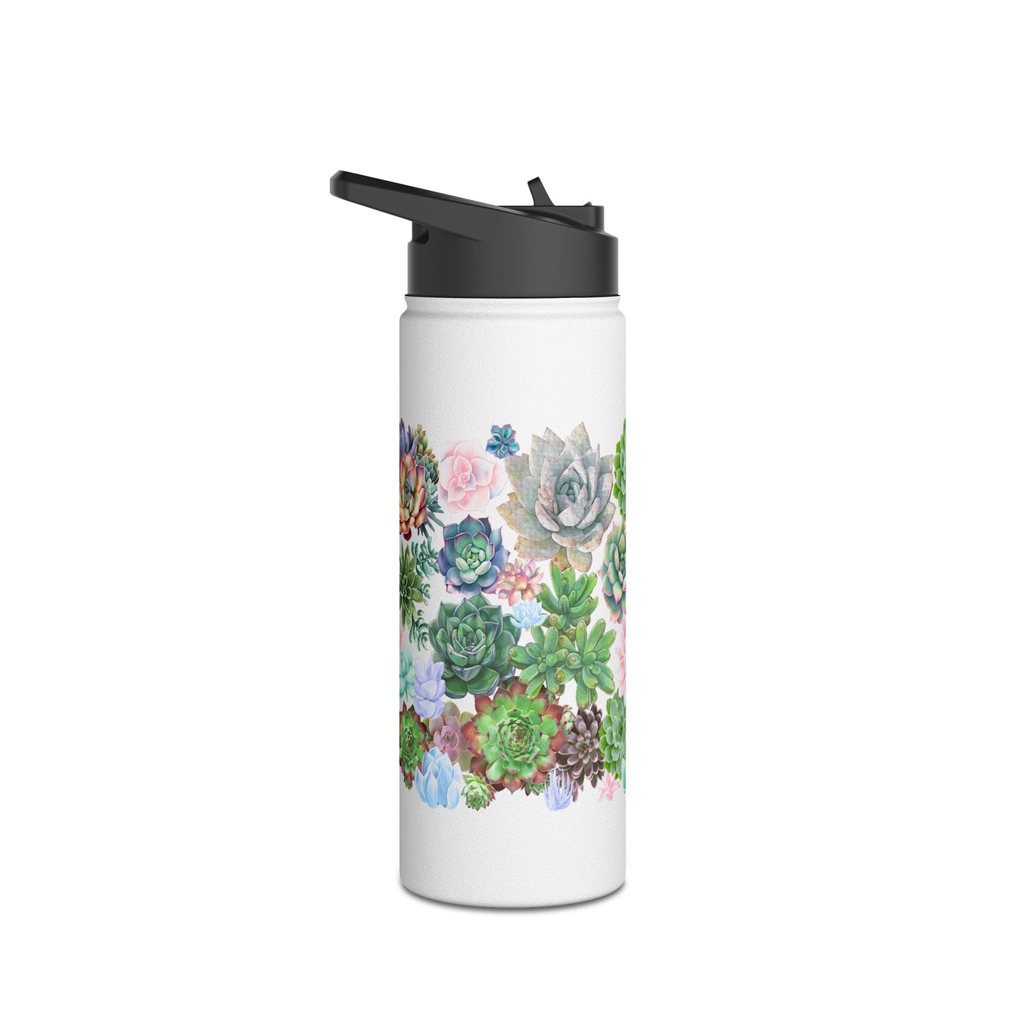 Succulents | Stainless Steel Water Bottle, Standard Lid