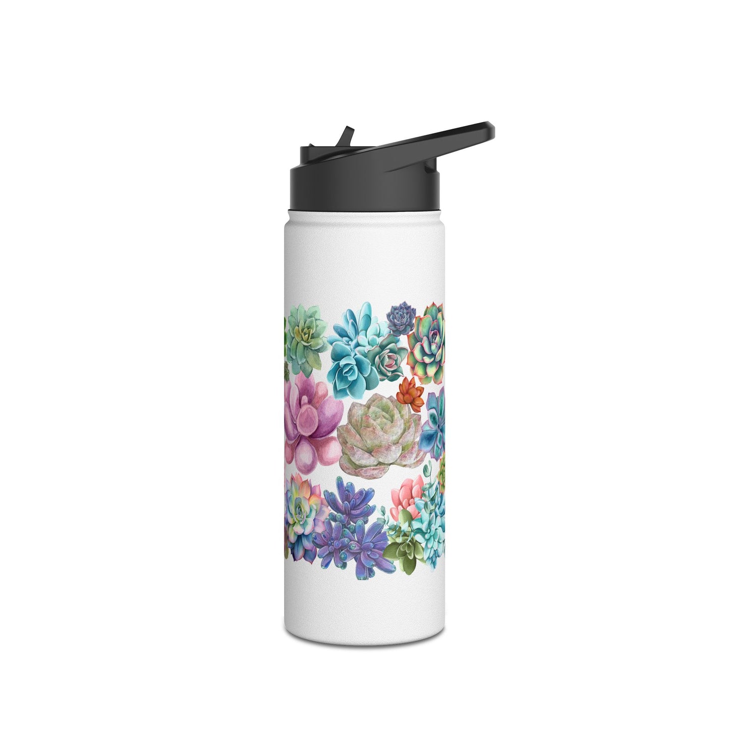 Succulents | Stainless Steel Water Bottle, Standard Lid